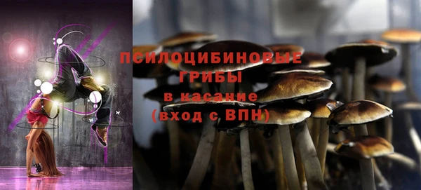 apvp Лиски