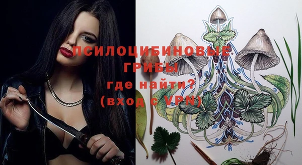 гашик Лихославль