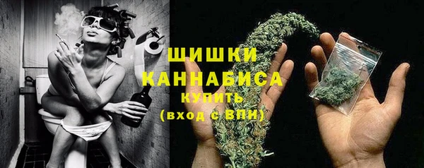 apvp Лиски
