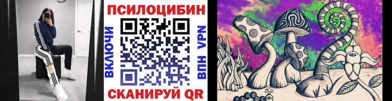 Псилоцибиновые грибы Psilocybine cubensis  наркота  Нестеров 
